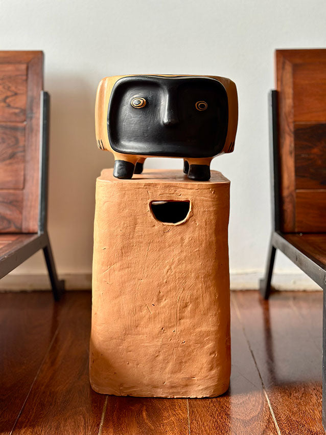 Pote Yerupoho G - Etnia Waurá