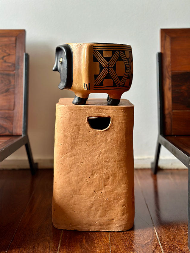 Pote Yerupoho G - Etnia Waurá