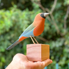 Pássaro em madeira - Bico de Veludo