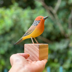 Pássaro em madeira - Uirapuru
