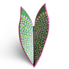 Folha de parede - Begônia Rosa