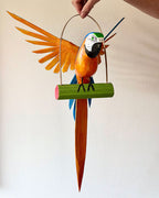Arara Canindé - Palmeira Miriti