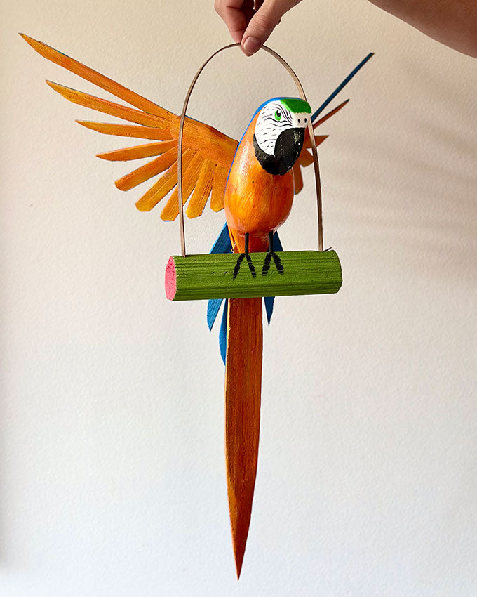 Arara Canindé - Palmeira Miriti