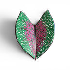 Folha de parede - Caladium