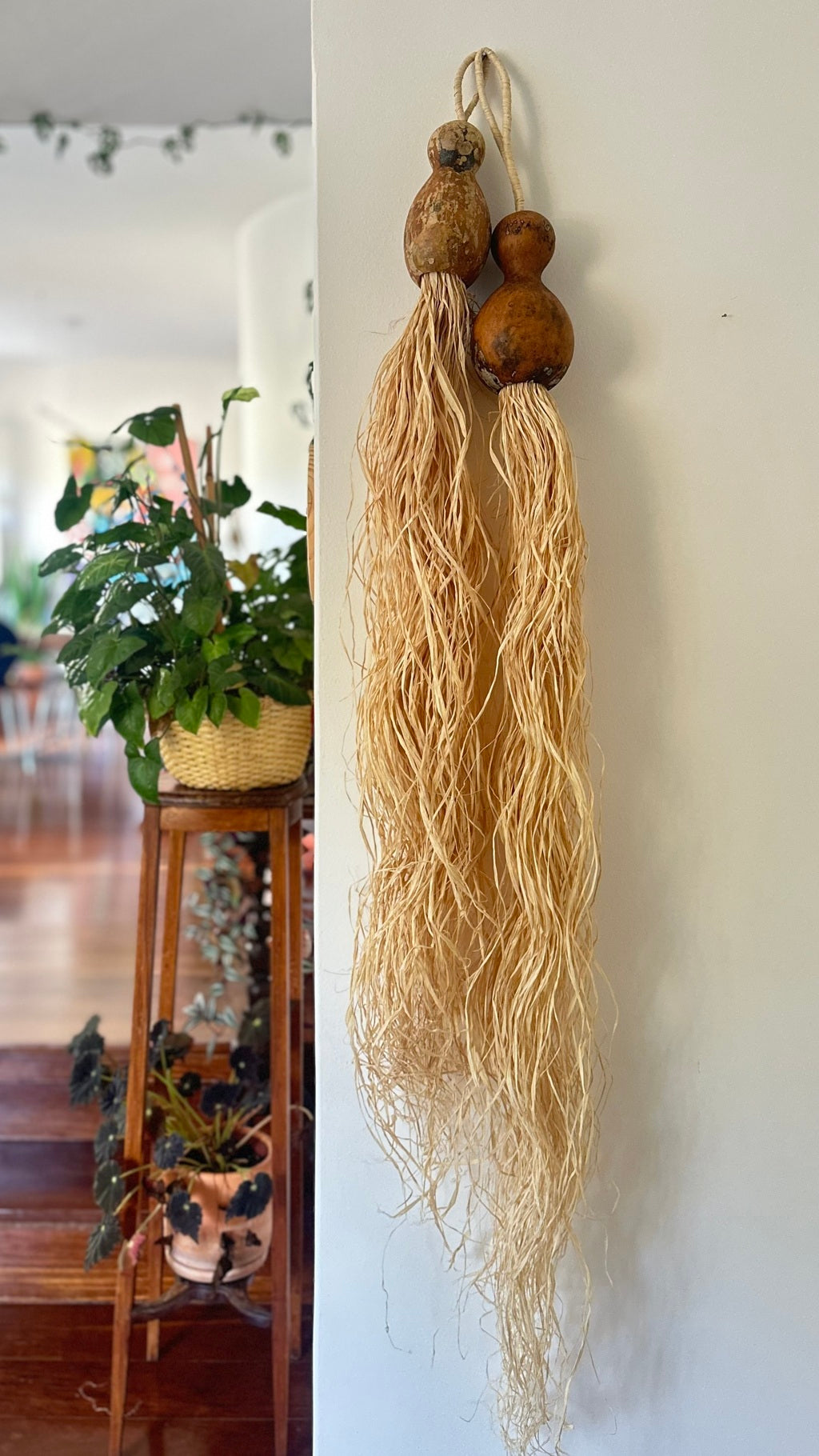 Dupla de cabaças redondas com linho de Buriti