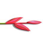 Buquê com 5 plantas em madeira pintadas a mão