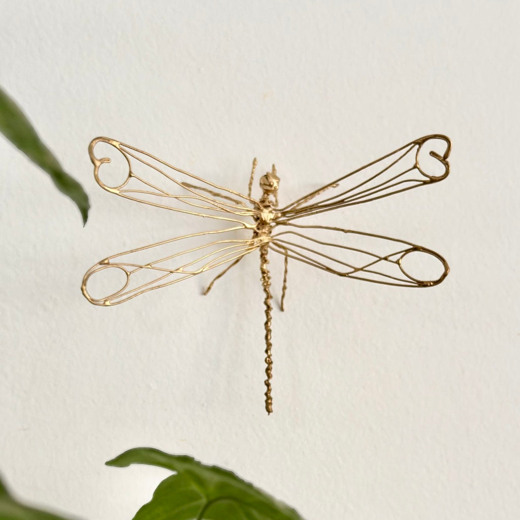 Joia Libélula - José Napoleão