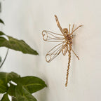 Joia Libélula - José Napoleão