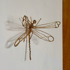 Joia Libélula - José Napoleão