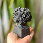 Mini árvore em cerâmica preta- Tamanho 2
