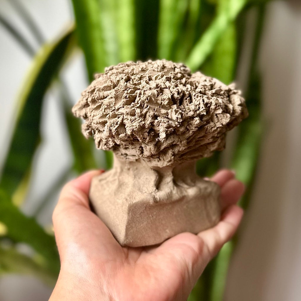 Mini árvore em cerâmica cinza - Tamanho 3