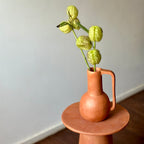 Jarro com alça - Anisia Lima