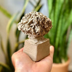 Mini árvore em cerâmica cinza- Tamanho 2