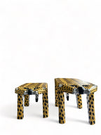 Banco Onça M - Gervásio