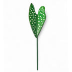 Buquê com 3 plantas em madeira pintadas a mão