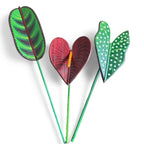 Buquê com 3 plantas em madeira pintadas a mão