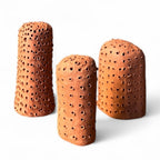 Trio de Xique-xique