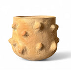 Vaso paineira em cerâmica rústica - Cleuza Eugênia