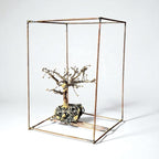 Joia para mesa - José Napoleão