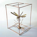 Joia para mesa - José Napoleão