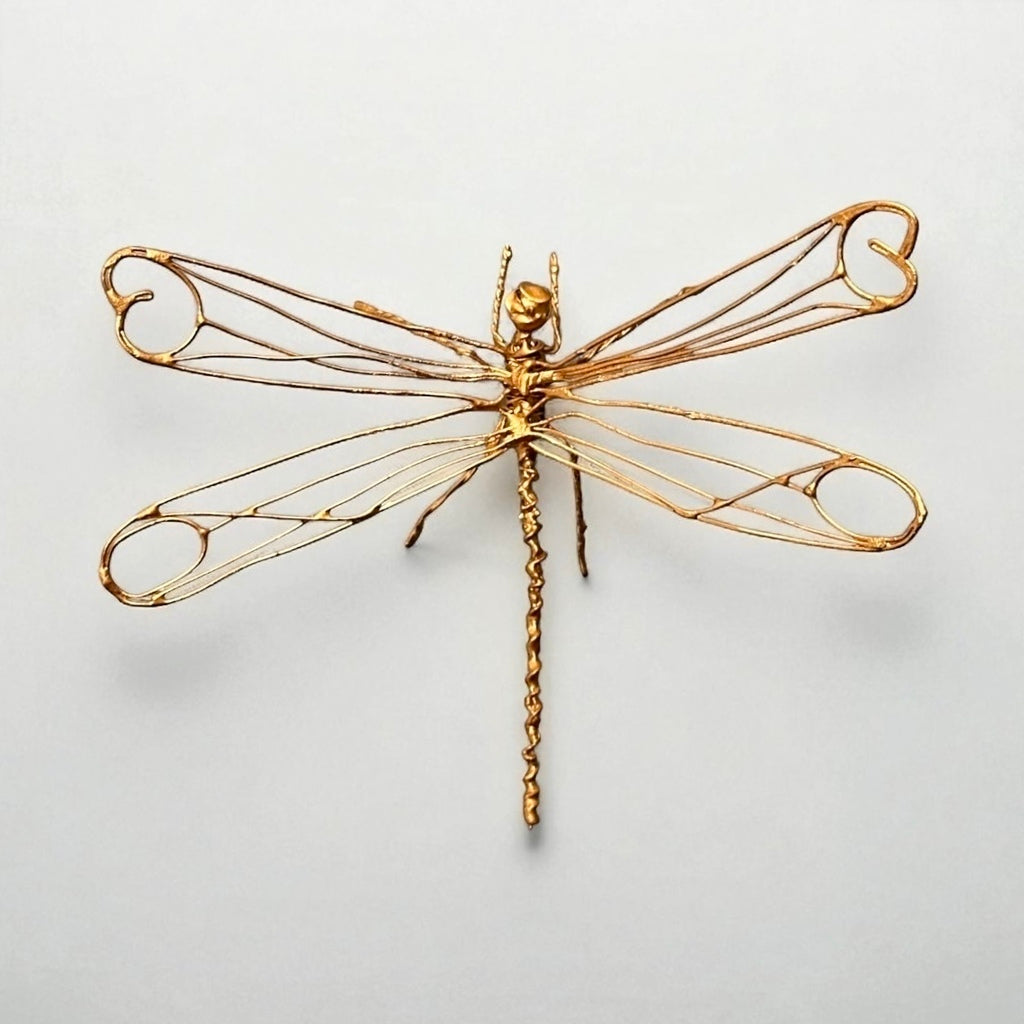 Joia Libélula - José Napoleão