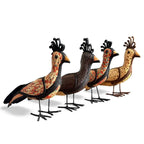 Mutum em Palha de Indaiá - G